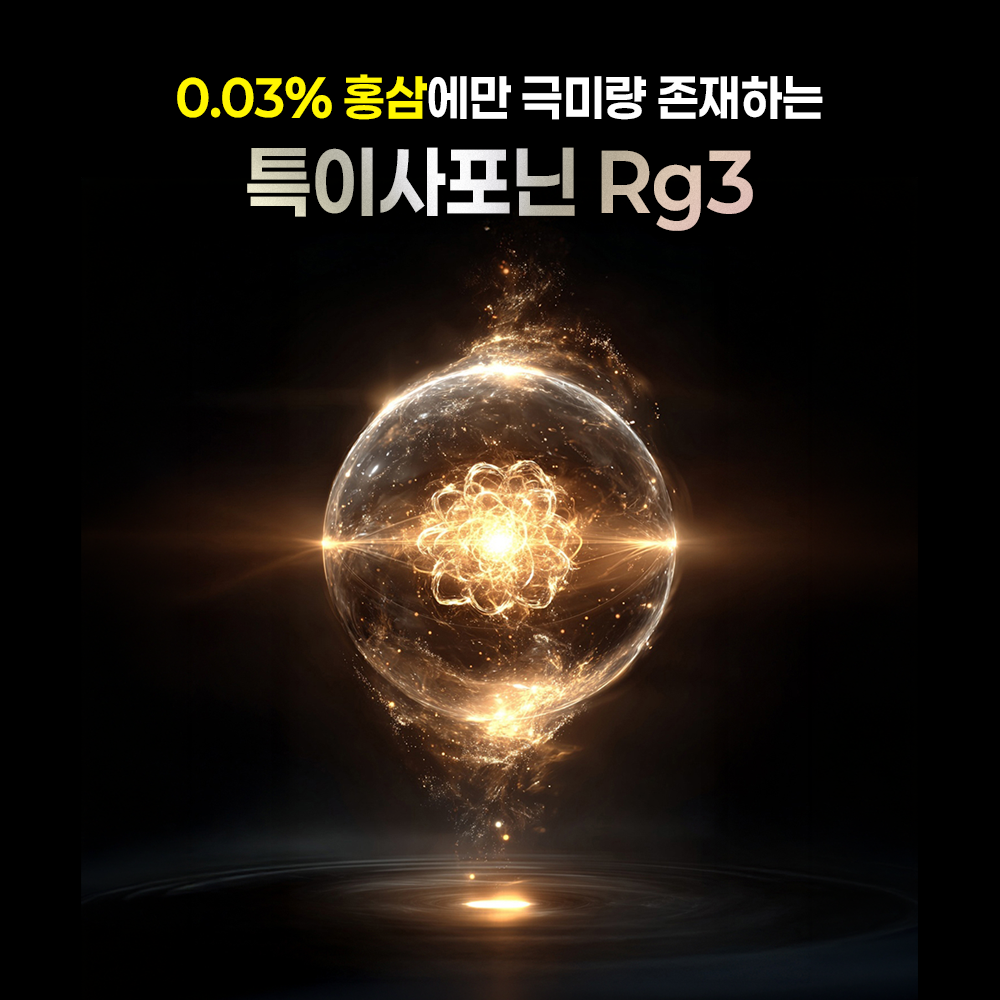 0.03% 홍삼에만 극미량 존재하는 특이사포닌 Rg3 — 공후하 결 핵심 성분